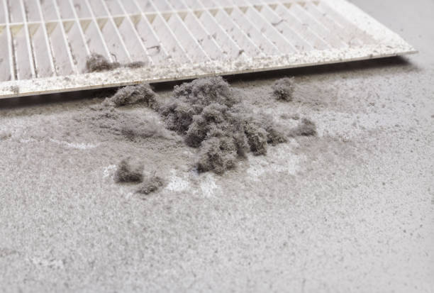 Best Affordable Air Duct Cleaning  in St Francisville, LA