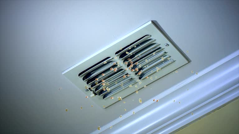 Best General Air Duct Cleaning  in St Francisville, LA