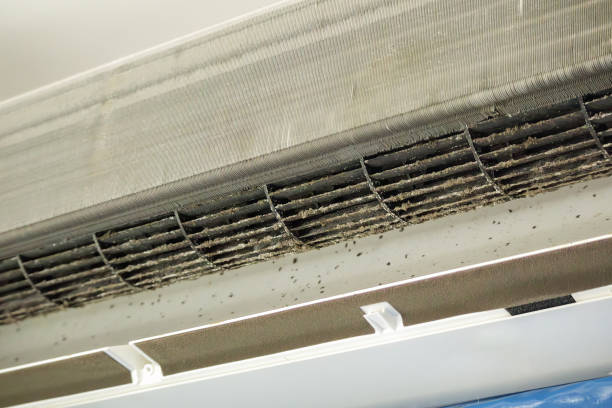 Best Commercial Air Duct Cleaning  in St Francisville, LA